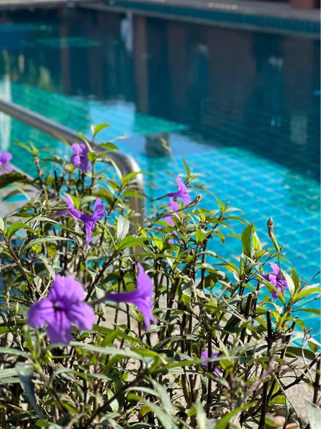 Pattara Mansion พัทยา Hotel Pattaya Buitenkant foto